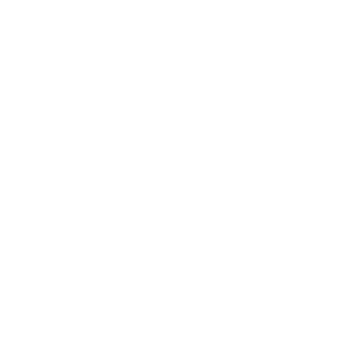 Used at Border Security